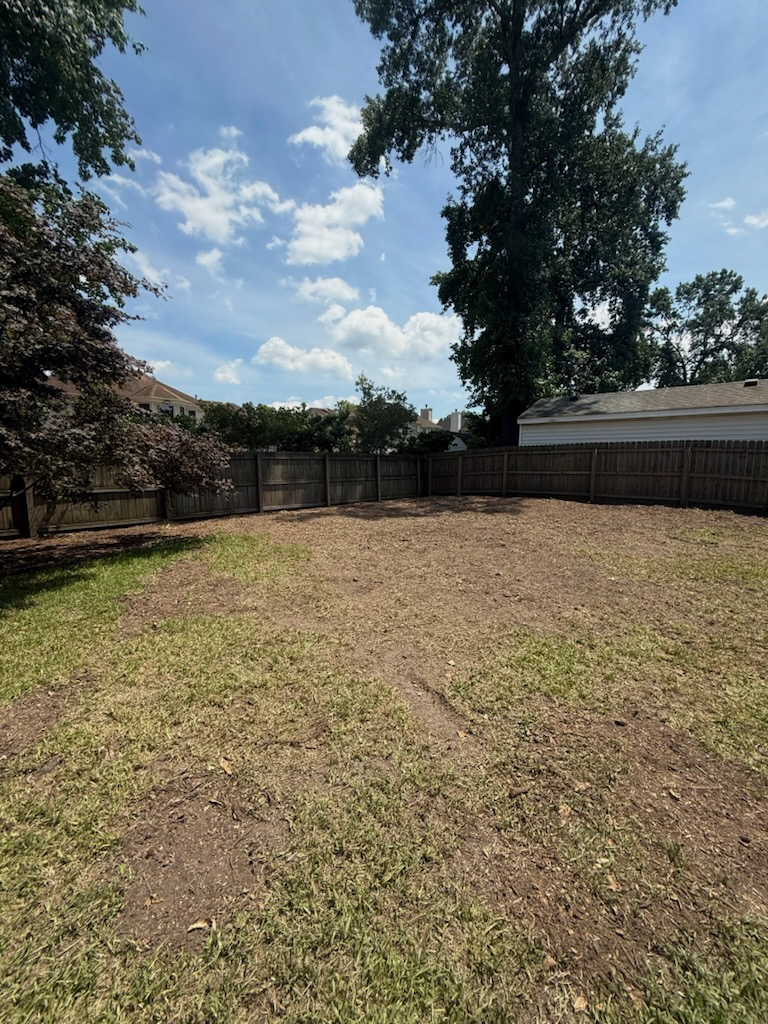 Crew grading and leveling soil where a tree was removed